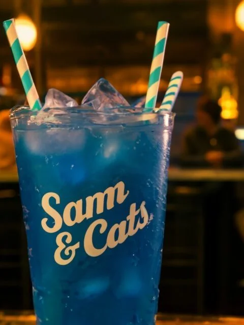 Sam & Cat Blue Dog Soda Recipe